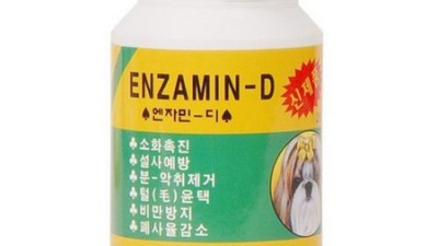 🐶 3개월 기적! 강아지 기침 영양제 솔직 후기 & 할인 꿀팁 🐾