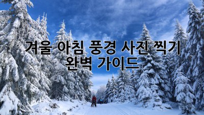 겨울 아침 풍경 사진 찍기 완벽 가이드