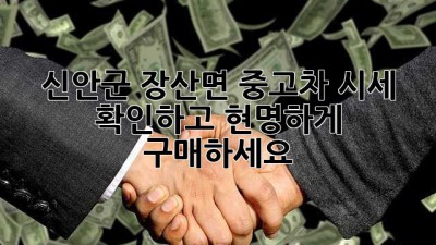 신안군 장산면 중고차 시세 확인하고 현명하게 구매하세요!