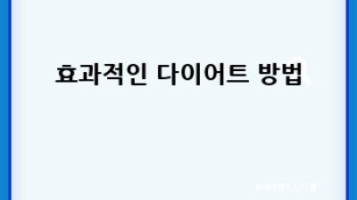 뱃살 빼는 운동법 완벽 가이드: 지방 태우기 프로젝트! 🔥
