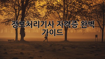정보처리기사 자격증 완벽 가이드