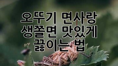 오뚜기 면사랑 생쫄면 맛있게 끓이는 법